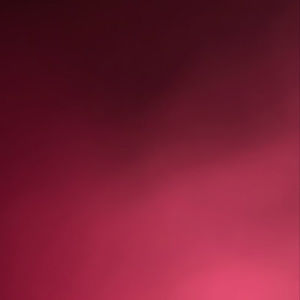 Meet your Posher, Joodzell